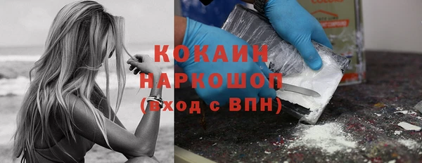 гашик Осташков