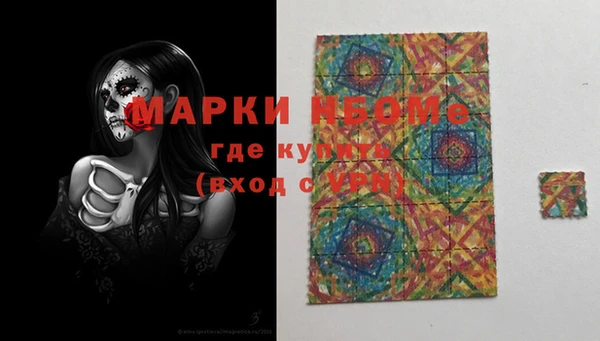 гашик Осташков