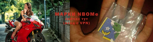 гашик Осташков