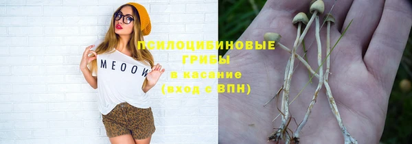 мет Осинники