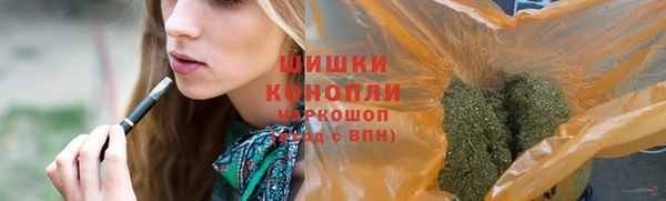 гашик Осташков