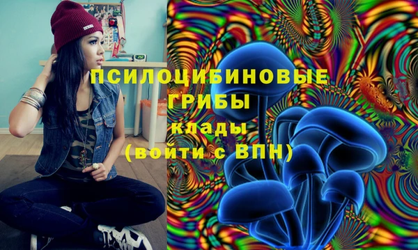 мет Осинники