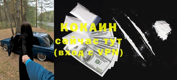 гашик Осташков