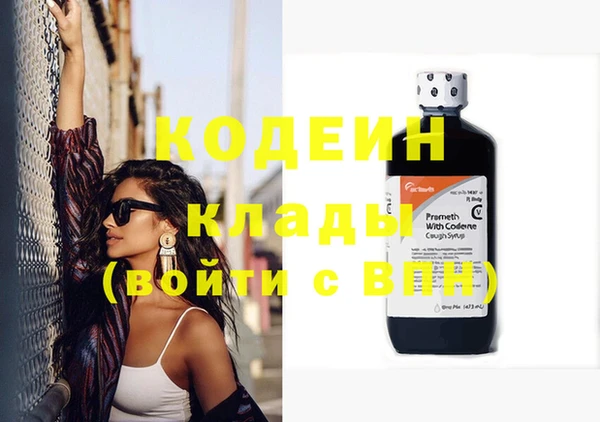 гашик Осташков