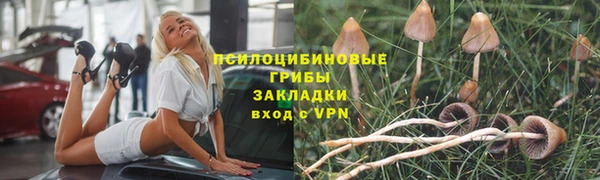 гашик Осташков