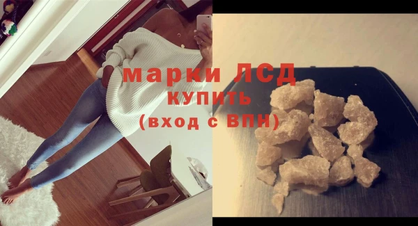 гашик Осташков