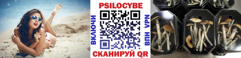 Галлюциногенные грибы мухоморы  Нахабино 